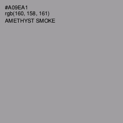 #A09EA1 - Amethyst Smoke Color Image